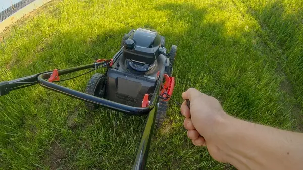 Quality Lawn Mowing in Fairfield, CA