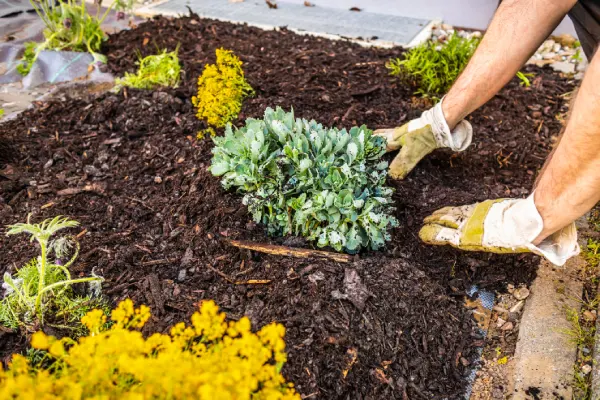 Quality Mulching in Fairfield, CA