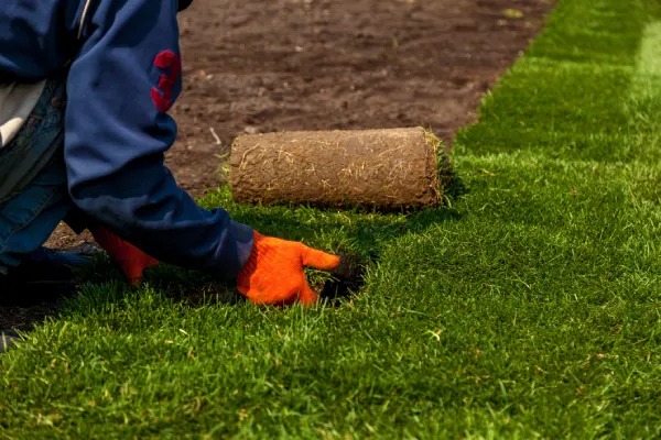 Quality Sod Installation in Fairfield, CA