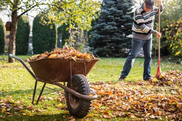 Quality Yard Cleanup in Fairfield, CA