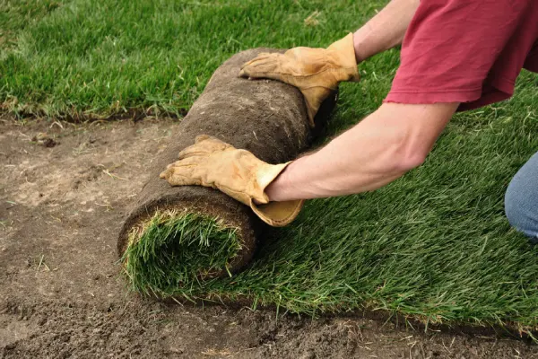 Sod Installation in Fairfield, CA