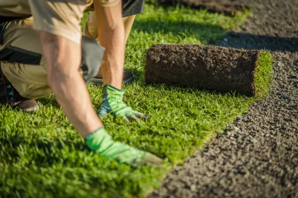 Sod Installation in Fairfield, CA