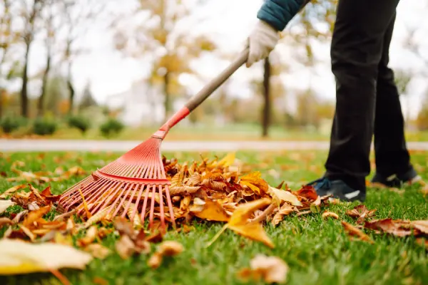 Yard Cleanup in Fairfield, CA